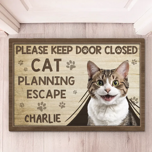 Custom Photo Life Is Full Of Little Joys With Cats Around - Cat Personalized Custom Home Decor Decorative Mat - Gift For Pet Owners, Pet Lovers