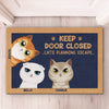Keep Door Closed - Cat Personalized Custom Home Decor Decorative Mat - House Warming Gift For Pet Owners, Pet Lovers