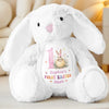 Bunny Kisses & Easter Wishes - Family Personalized Custom Easter Bunny Plush - Easter Gift For Baby Kids, Newborn Baby