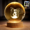 Lampe globe en cristal photo personnalisée – Cadeaux de condoléances personnalisés pour animaux de compagnie, chiens et chats – La lumière porte votre esprit