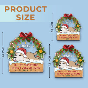 AOP-MQ0533_thumb-5---ds-trong-suot