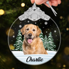 Custom Photo Glass Ornament - Personalized Pet Christmas Memorial Sympathy Gifts For Dogs, Cats - Always In My Heart