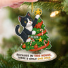 Custom Photo Acrylic Ornament - Personalized Christmas Birthday Gifts For Dog Cat Lovers, Dog Dad And Mom, Cat Owners - Cat Steals The Show