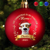 Custom First Christmas Colored Ball Ornament - Personalized Christmas Birthday Gifts For Dog Cat Lovers, Dog Dad And Mom, Cat Owners - A Pawfect New Beginning