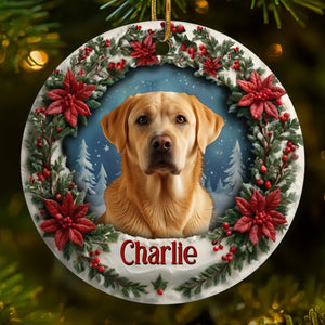 BG-TOP-PREVIEW-DS-SANG