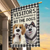 Custom Flag - Personalized Birthday Gifts For Dog Lovers, Dog Dad And Mom - This Home Has Dogs