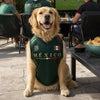 Custom Mexico World Football Pet Jersey - Personalized Birthday Gifts For Football Dog Cat Lovers, Dog Dad And Mom, Cat Owners - Furry Champion