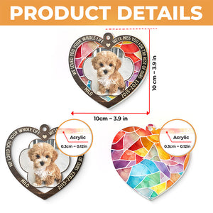 Custom Photo We'll Miss You For The Rest Of Ours - Memorial Personalized Custom Suncatcher Ornament - Acrylic Heart Shaped - Christmas Gift, Sympathy Gift For Pet Owners, Pet Lovers
