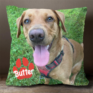 Pet's Face On A Pillow - Personalized Pillow (Insert Included).