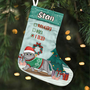 A Very Meowy Christmas - Walking Cat Christmas Costumes - Personalized Christmas Stocking.
