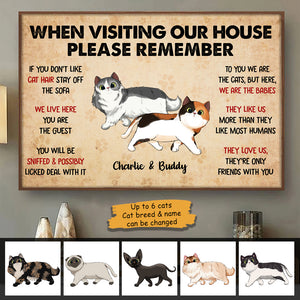 When Visiting My House Cat Walking - Personalized Horizontal Poster.