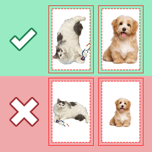 Custom Photo My Beloved Fur Baby - Dog & Cat Personalized Custom Shaped Pillow - Gift For Pet Owners, Pet Lovers