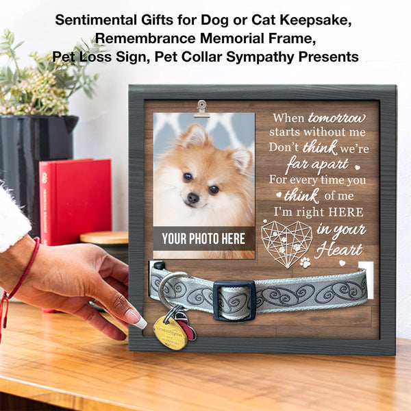 Dog Memorial Shadow Box Personalized Pet Picture Frame Memorial - Cat  Memorial Sentiment Frame for Loss of Pet Gifts - Pet Collar Frame  Remembrance