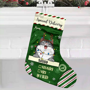 Special Delivery To Santa - Christmas Dogs & Cats - Personalized Christmas Stocking.
