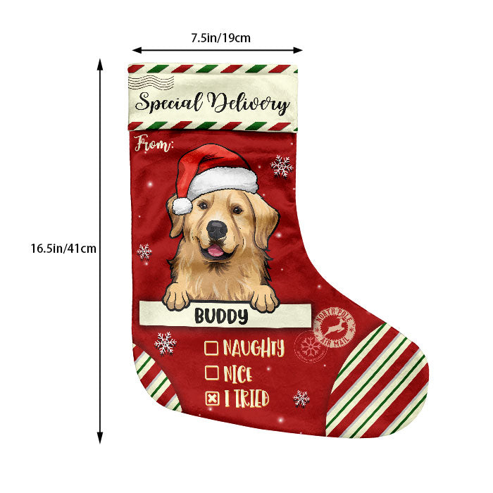 Special Delivery To Santa - Christmas Dogs & Cats - Personalized Christmas Stocking.