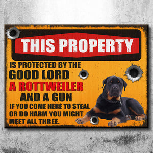 Custom Dog Upload Image, This Property Is Protected - Gift For Dog Lovers, Personalized Metal Sign.
