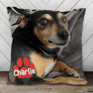 Pet's Face On A Pillow - Personalized Pillow (Insert Included).