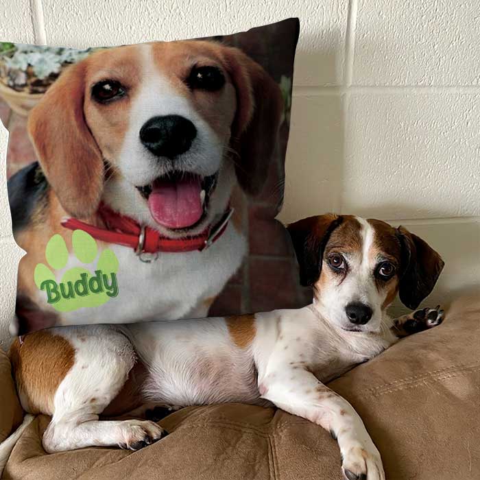 Pet's Face On A Pillow - Personalized Pillow (Insert Included).