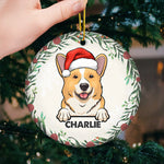 Custom Name Christmas Cat Gifts for Cat Lovers - Personalized Ornament