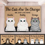The Cats Are In Charge - Personalized Decorative Mat