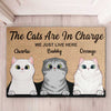 The Cats Are In Charge - Personalized Decorative Mat