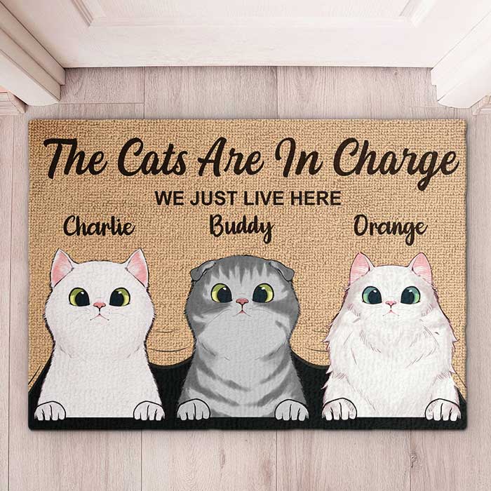 The Cats Are In Charge - Personalized Decorative Mat