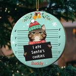 I Knocked Down The Christmas Tree - Personalized Custom Round Shaped Wood Christmas Ornament
