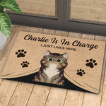 The Cats Are In Charge - Personalized Decorative Mat