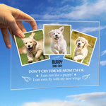 Don't Cry For Me Mom! I’m Ok - Upload Image - Personalized Acrylic Plaque