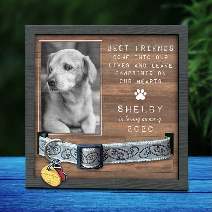 Custom Photo Pet Loss Sign, Collar Frame - Personalized Pet Memorial Sympathy Gifts For Dogs, Cats, Loss Of Dog - Dog Memorial Picture Frame