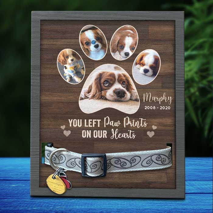 You Left Paw Prints On Our Hearts - Memorial Personalized Custom Pet Loss Sign, Collar Frame - Upload Image, Sympathy Gift, Gift For Pet Owners, Pet Lovers