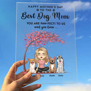 To The Best Dog Mom You Are Paw-fect - Gift For Mother's Day, Personalized Acrylic Plaque