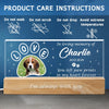 Custom Photo Your Light Will Always Shine In My Heart - Memorial Personalized Custom Acrylic Letters 3D LED Night Light - Sympathy Gift For Pet Owners, Pet Lovers
