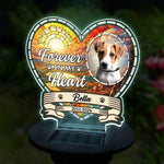 Custom Photo I Am Forever In Your Heart  - Memorial Personalized Custom Garden Solar Light - Sympathy Gift For Dog Lovers, Pet Owners
