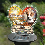 Custom Photo I Am Forever In Your Heart  - Memorial Personalized Custom Garden Solar Light - Sympathy Gift For Dog Lovers, Pet Owners