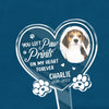 Custom Photo Always Love You - Memorial Personalized Custom Stain Glass Style Acrylic Garden Stake - Sympathy Gift For Pet Owners, Pet Lovers