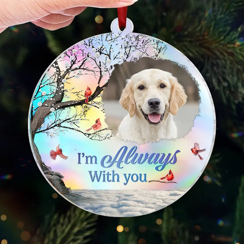 Custom Photo You Brought Joy To Our Lives - Memorial Personalized Custom Hologram Ornament - Sympathy Gift, Christmas Gift For Pet Owners, Pet Lovers