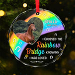 Custom Photo No Greater Companion, No Better Friend - Memorial Personalized Custom Circle Glass Ornament - Sympathy Gift, Christmas Gift For Pet Owners, Pet Lovers