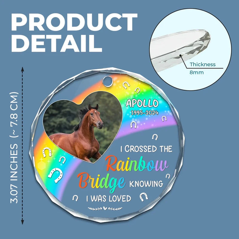 Custom Photo No Greater Companion, No Better Friend - Memorial Personalized Custom Circle Glass Ornament - Sympathy Gift, Christmas Gift For Pet Owners, Pet Lovers
