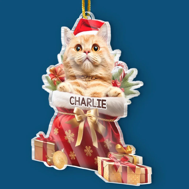Custom Photo My Pet's Love Is The Best Present This Christmas - Dog & Cat Personalized Custom Ornament - Acrylic Custom Shaped - Christmas Gift For Pet Owners, Pet Lovers