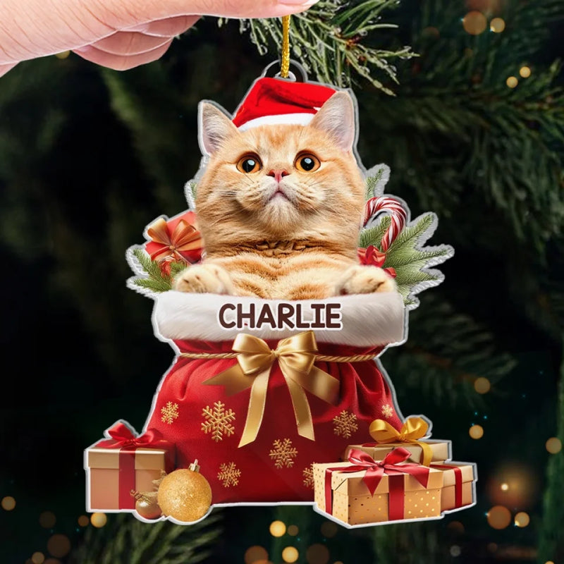 Custom Photo My Pet's Love Is The Best Present This Christmas - Dog & Cat Personalized Custom Ornament - Acrylic Custom Shaped - Christmas Gift For Pet Owners, Pet Lovers