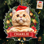 Custom Photo May Your Days Be Furry and Bright - Dog & Cat Personalized Custom Ornament - Acrylic Custom Shaped - Christmas Gift For Pet Owners, Pet Lovers