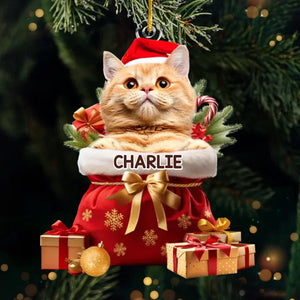 Custom Photo My Pet's Love Is The Best Present This Christmas - Dog & Cat Personalized Custom Ornament - Acrylic Custom Shaped - Christmas Gift For Pet Owners, Pet Lovers