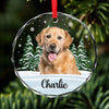 Custom Photo We Still Miss You - Memorial Personalized Custom Circle Glass Ornament - Christmas Gift, Sympathy Gift For Pet Owners, Pet Lovers