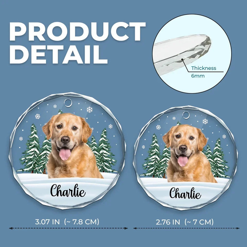 Custom Photo We Still Miss You - Memorial Personalized Custom Circle Glass Ornament - Christmas Gift, Sympathy Gift For Pet Owners, Pet Lovers
