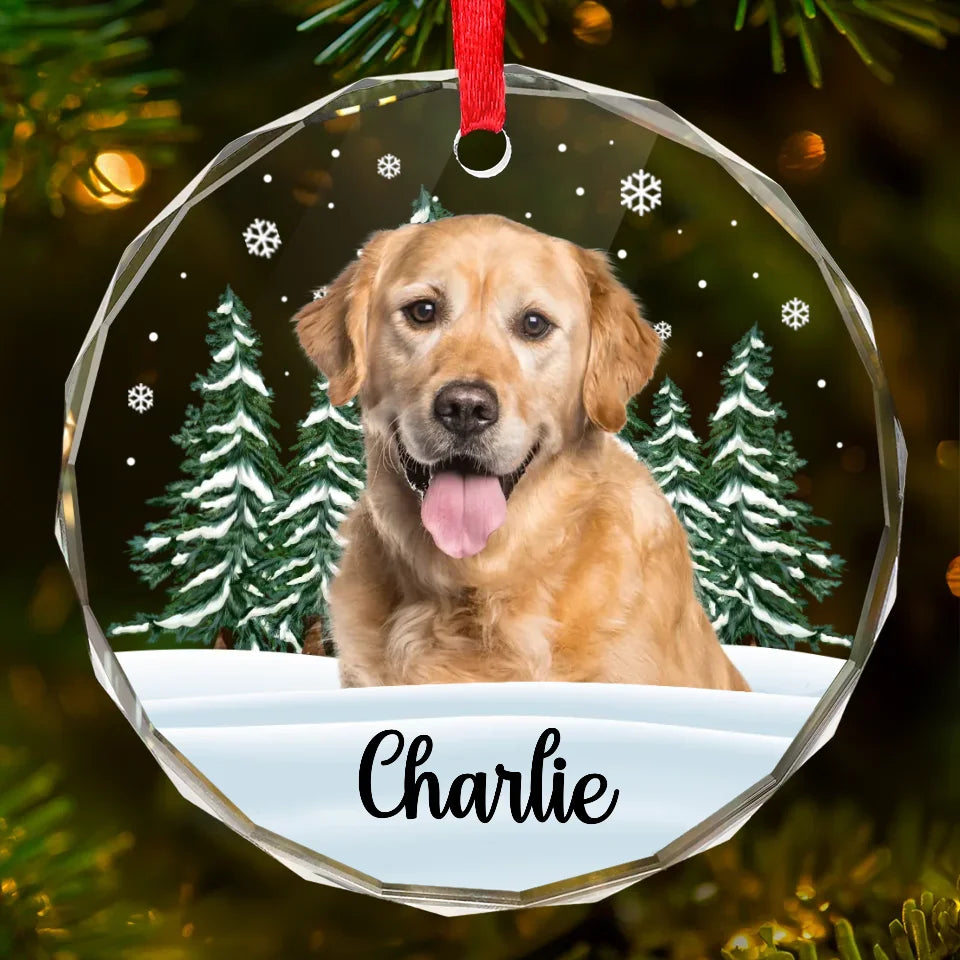 Custom Photo Circle Glass Ornament - Personalized Pet Christmas Memorial Sympathy Gifts For Dogs Cats Cherished Paws Forever In Our Hearts