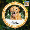 Custom Photo Every Day Is A Holiday With You By My Side - Dog & Cat Personalized Custom LED Pendant Light Ornament - Christmas Gift For Pet Owners, Pet Lovers