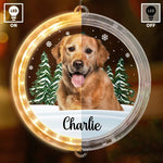 Custom Photo Every Day Is A Holiday With You By My Side - Dog & Cat Personalized Custom LED Pendant Light Ornament - Christmas Gift For Pet Owners, Pet Lovers