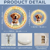 Custom Photo You’re My Favorite Holiday Companion - Dog & Cat Personalized Custom LED Pendant Light Ornament - Christmas Gift For Pet Owners, Pet Lovers