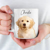 Custom Photo You’re The Best Gift Under The Tree - Dog & Cat Personalized Custom Mug - Christmas Gift For Pet Owners, Pet Lovers